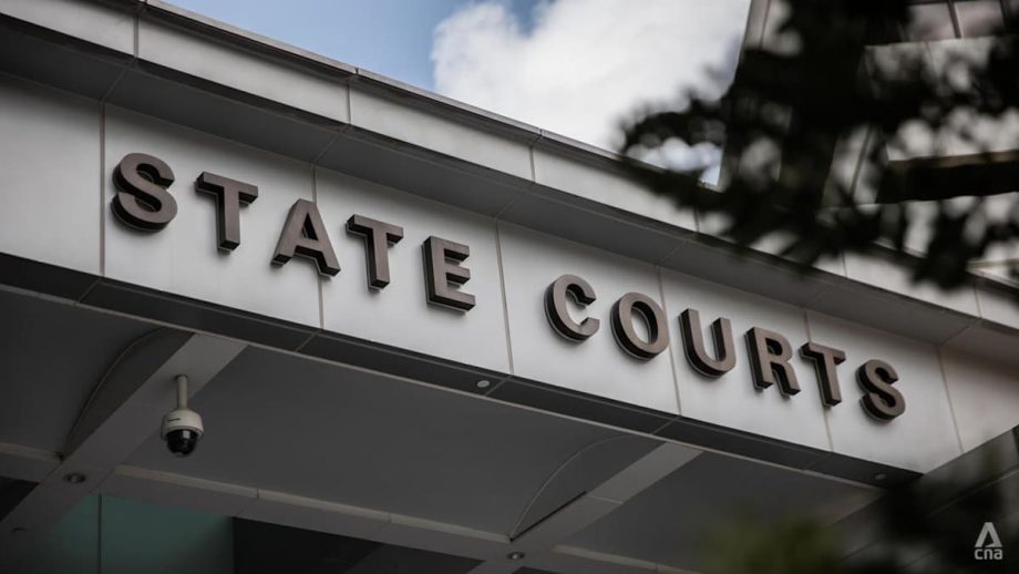 Employment agent who submitted work permit application for underage maid gets jail