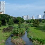 More warm days expected in second half of March: Met Service, Singapore News