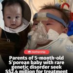 @mothershipsg You can give baby Ginny a chance at life by donating via the Ray o…