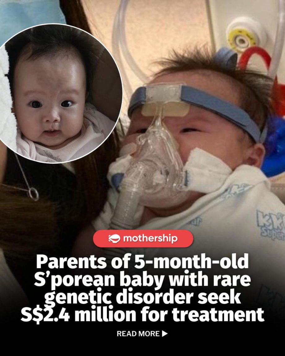 @mothershipsg You can give baby Ginny a chance at life by donating via the Ray o…