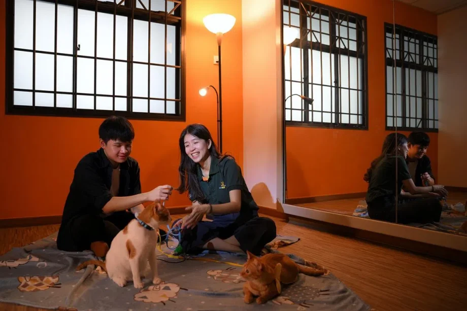 When heart meets action: Shining a light on social work excellence in Singapore