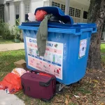 Blue recycling bins in Tiong Bahru estate to vanish for almost three months