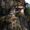 I followed endangered cranes through Bhutan’s valleys – and saw a country quietly reimagining itself
