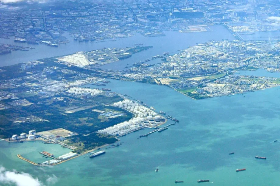 Study finds Jurong Island power plant may not impact corals, but experts raise questions on methods