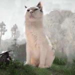 Crimson Desert Player Has The Best Companion: A Fat, Lazy Cat