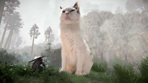 Crimson Desert Player Has The Best Companion: A Fat, Lazy Cat