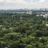 Johor Regent Tunku Ismail submits development plans for Holland Road plots after land swop