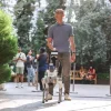 Gardens by the Bay to offer robot guide dog, online sensory map for visitors with disabilities
