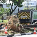 3 workers taken to hospital after garbage truck skids and hits tree in Hougang