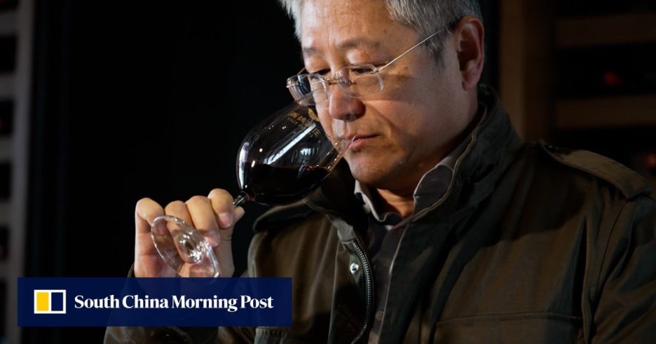 Wine from ‘Bordeaux of China’ Ningxia is on the rise but can it rival French bottles?