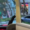 Pedestrian, 66, dies after car hits her and mounts road verge in Bencoolen; driver arrested, Singapore News
