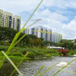 Most of the complaints over weak mobile coverage in Bidadari resolved: Josephine Teo, Singapore News