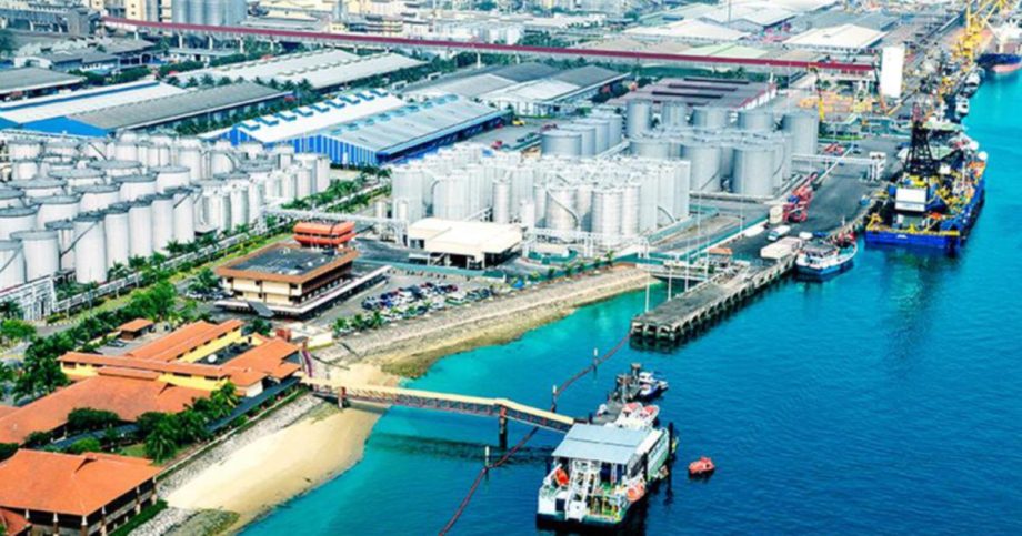 JS-SEZ: Presence of semiconductor 'queen bee' expected to create new ecosystem – NST Online