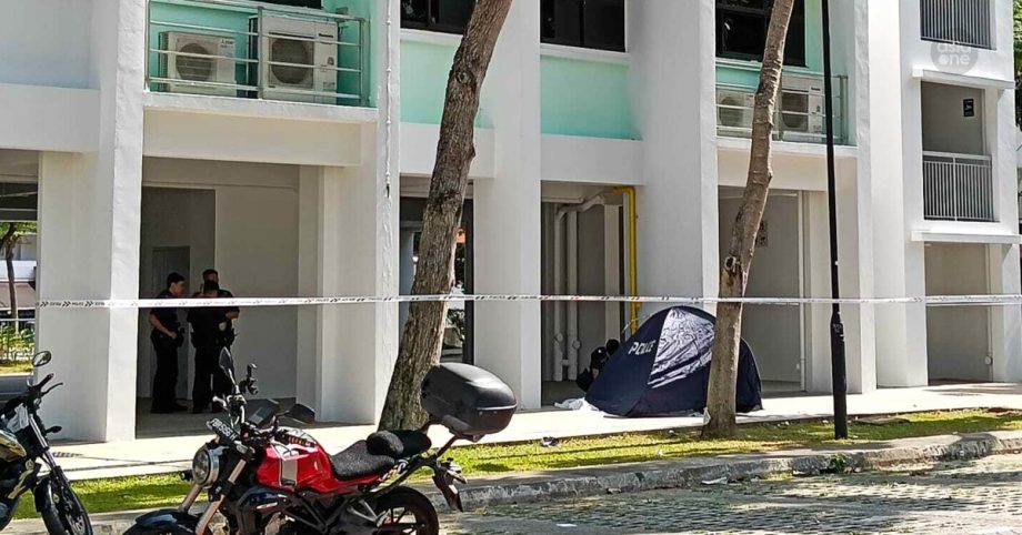 71-year-old woman found dead at foot of HDB block in Yishun, Singapore News 71-year-old woman found dead at foot of HDB block in Yishun, Singapore News