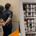 179 luxury watches worth over m seized in GST refund fraud raids, Singapore News