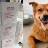 Animal shelters appeal for donations after taking in dogs, cats from troubled Animal Lovers League, Singapore News