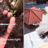 Person throws soil at construction workers over ‘noisy work’, netizens call act ‘disrespectful and dangerous’