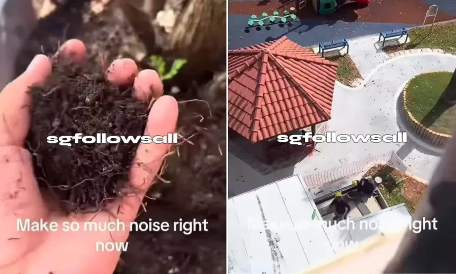 Person throws soil at construction workers over ‘noisy work’, netizens call act ‘disrespectful and dangerous’ Person throws soil at construction workers over ‘noisy work’, netizens call act ‘disrespectful and dangerous’
