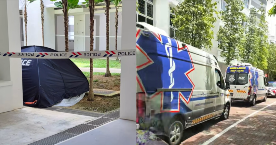 41-year-old woman found dead at foot of Sengkang HDB block after falling from height, Singapore News