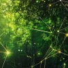 How S’pore platform is rethinking energy for the data centre age