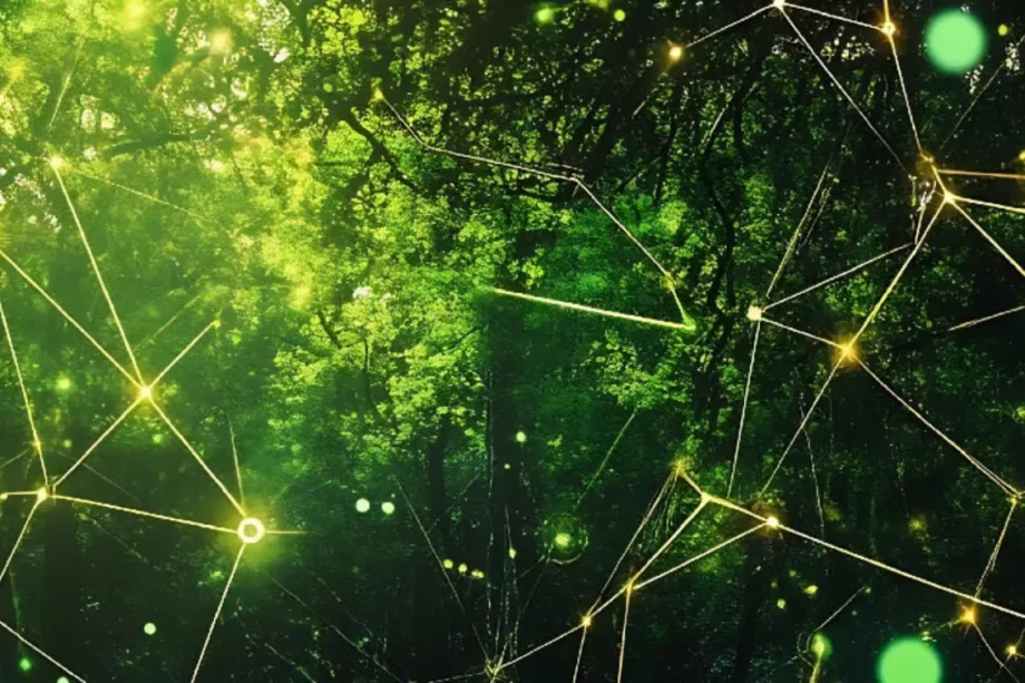 How S’pore platform is rethinking energy for the data centre age How S’pore platform is rethinking energy for the data centre age