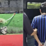 Over 80 people arrested in islandwide CNB bust; drugs worth over ,400 seized Over 80 people arrested in islandwide CNB bust; drugs worth over ,400 seized