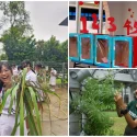 Singapore teens plant rice, do outreach efforts: How teens are going green at school