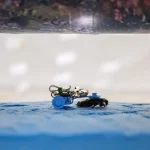 Insect inspectors: NTU developing cyborg cockroaches to check utility pipes