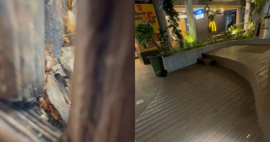 Netizen alleges ‘severe bed bug infestation’ at seating space outside AMK Hub; town council blames cockroaches, Singapore News Netizen alleges ‘severe bed bug infestation’ at seating space outside AMK Hub; town council blames cockroaches, Singapore News