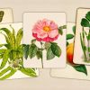 Art of Flora is an unexpectedly perfect complement to Pokémon Pokopia