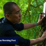 Hong Kong International Film Festival 2026 highlights: 12 must-see movies and programmes