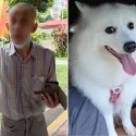 Dog owner shares video of elderly man demanding his Spitz be muzzled, netizens hit back: ‘Please muzzle the old man’