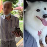 Dog owner shares video of elderly man demanding his Spitz be muzzled, netizens hit back: ‘Please muzzle the old man’