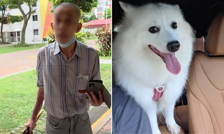 Dog owner shares video of elderly man demanding his Spitz be muzzled, netizens hit back: ‘Please muzzle the old man’