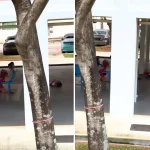 Video of woman on phone as crying child rolls on ground goes viral, parent says it was ‘negligently captioned’