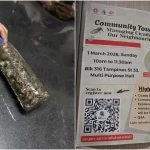 Tampines Changkat to launch initiative to control cicada swarms in HDB estate