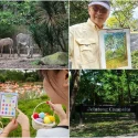 8 nature hot spots for kids in Singapore