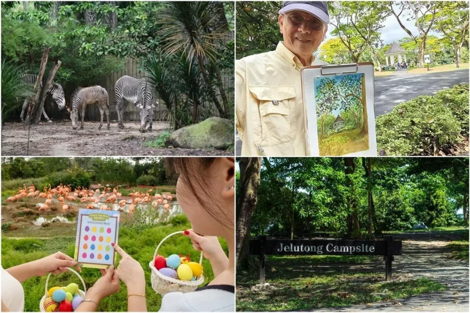 8 nature hot spots for kids in Singapore