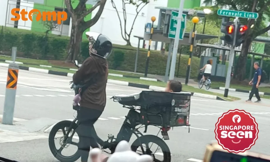 ‘Cute, dangerous or stupid?’: Baby seen in delivery bag on back of e-bike at Fernvale Link