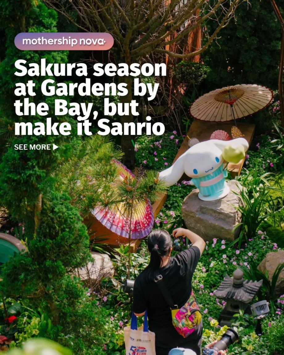 @mothershipsg anyone calling cinnamoroll a bunny can come fight me  From now til…