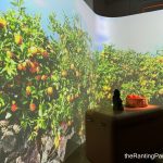 Food Review: Jeju Haenyeo At The Arts House, Singapore