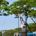 Crow shooting operations to begin in 9 towns, starting with Yishun: Chee Hong Tat