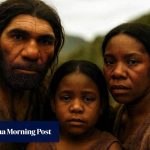 Sex between Neanderthal men and Homo sapiens women drove our genetic make-up today: study