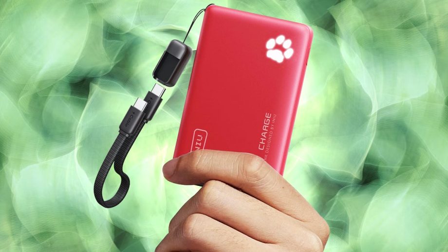 The Iniu 10,000mAh 45W Power Bank Drops to .66 During the Amazon Spring Sale The Iniu 10,000mAh 45W Power Bank Drops to .66 During the Amazon Spring Sale