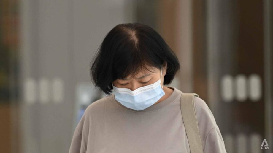 ‘Recalcitrant’ woman fined S,000 for feeding pigeons 17 times after previous conviction