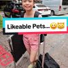People On TikTok