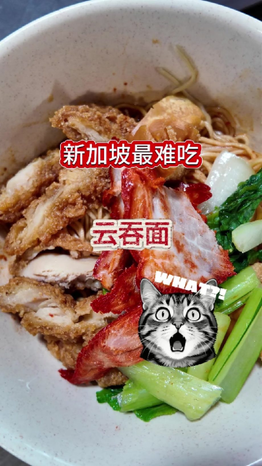 @havendivinetongue 评分1.9？！什么云吞面能这么底？！#新加坡美食 #探店 #foodie #sgfoodie  …