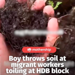 @mothershipsg The video was posted to the sgfollowsall Instagram page on Mar. 15…