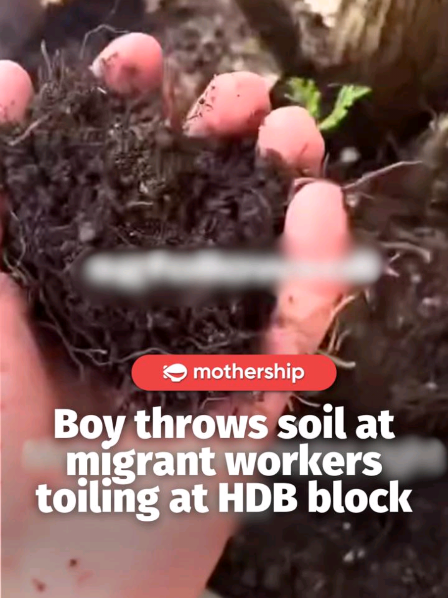 @mothershipsg The video was posted to the sgfollowsall Instagram page on Mar. 15…