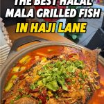 @chuanxisg THE BEST HALAL MALA IN HAJI LANE#sghalal #HalalMala #SingaporeFood #H…
